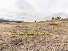 3000 Blk Addy Gifford-5