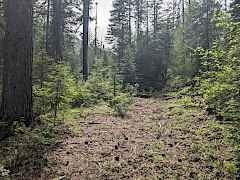 PXL_20250619_230151958