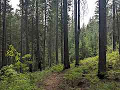 PXL_20250619_230942977