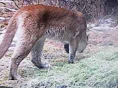 20251031201633261803000000