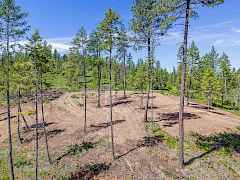 84--ohana way-valley-wa