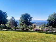 Green Lawn