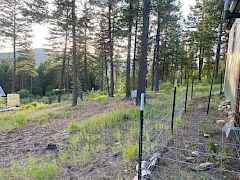 202615292-5e16aeb2-c686-4a4d-b2df-7d2167