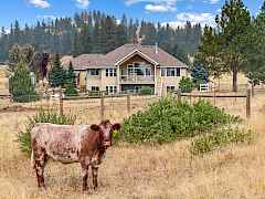5_005-29020 n hardesty rd-chattaroy-wa